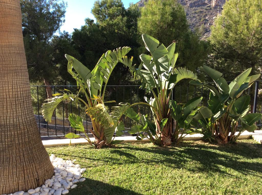 Olivos Holiday Home Altea Zimmer foto